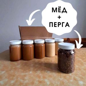 Коробка мёда Сила Алтая с пасеки Андрея Кукуева