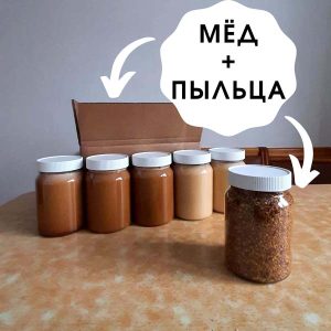 Коробка мёда Энергия Алтая с пасеки Андрея Кукуева